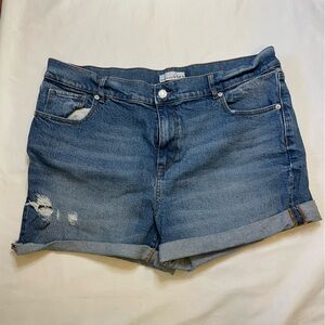 Loft size 32(14) distressed mid rise Jean shorts